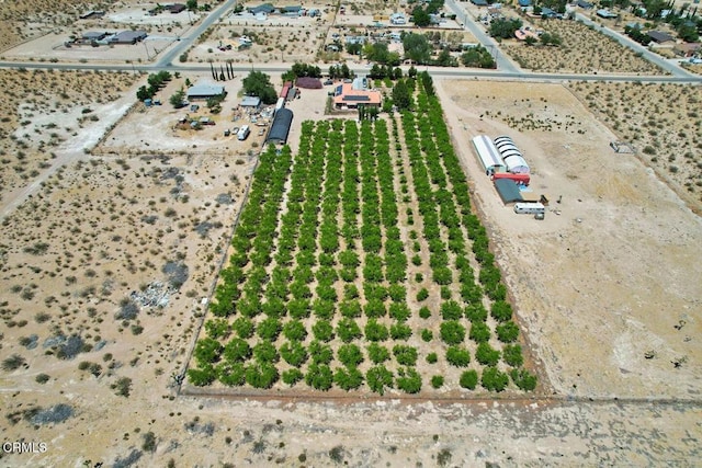 9975 Custer Ave, Lucerne Valley, CA 92356 - drone / aerial view with a rural view