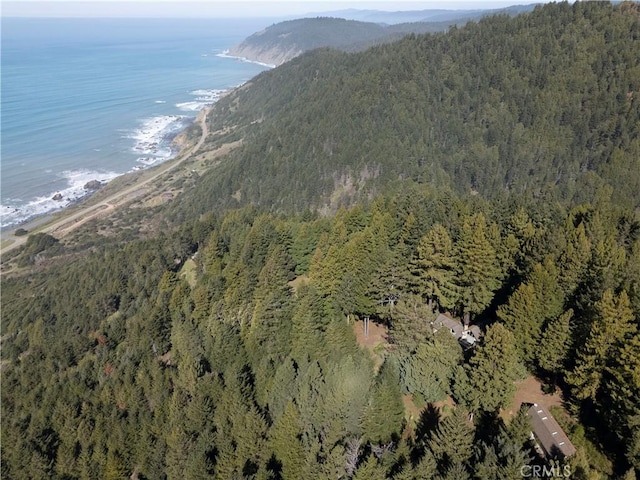 24250 Pacific Heights Dr, Westport, CA 95488 - mountain view with a wooded view, a water view, and a view of the beach