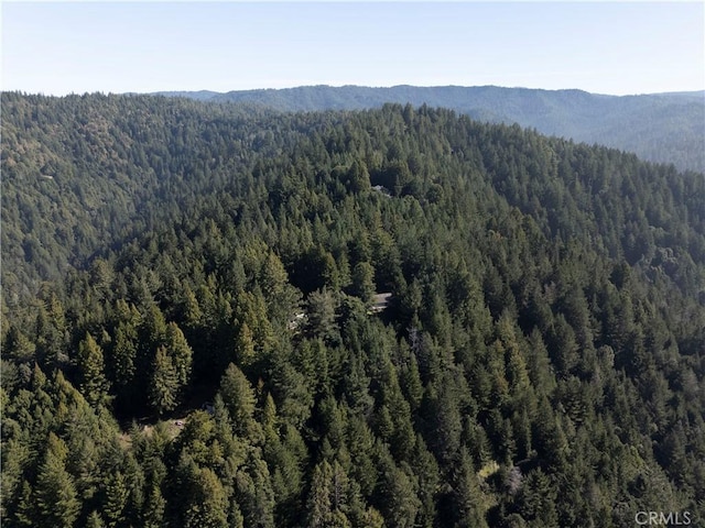 24250 Pacific Heights Dr, Westport, CA 95488 - property view of mountains with a view of trees