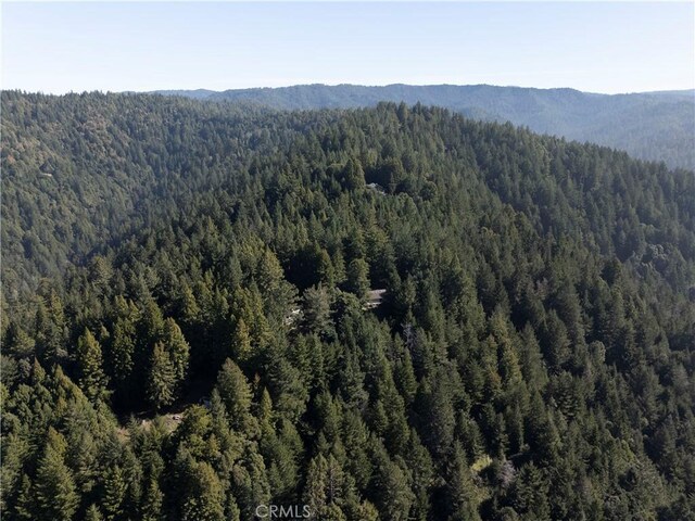24250 Pacific Heights Dr, Westport, CA 95488 - photo 54