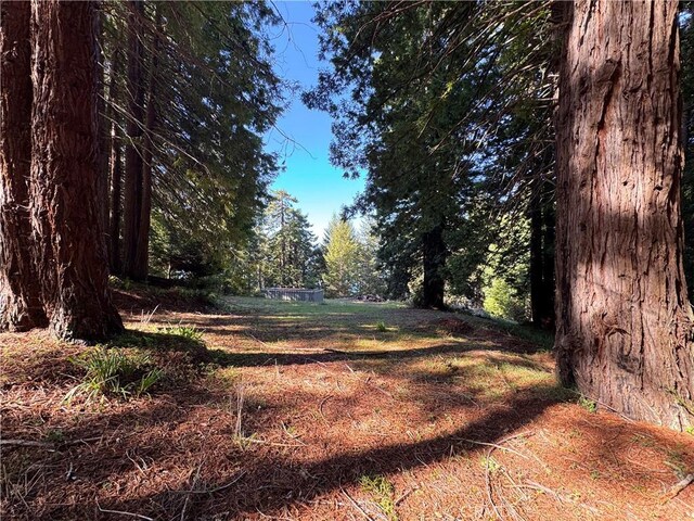 24250 Pacific Heights Dr, Westport, CA 95488 - photo 9