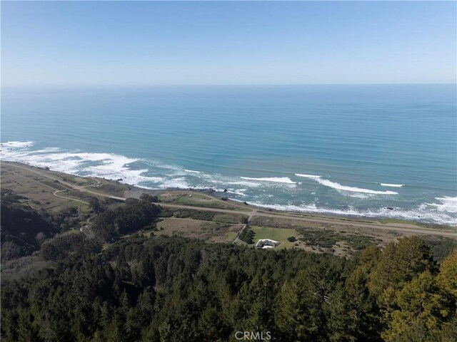 24250 Pacific Heights Dr, Westport, CA 95488 - view of water feature