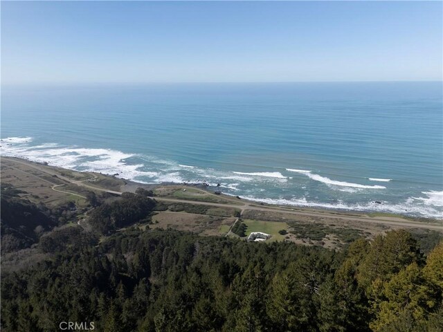 24250 Pacific Heights Dr, Westport, CA 95488 - photo 48