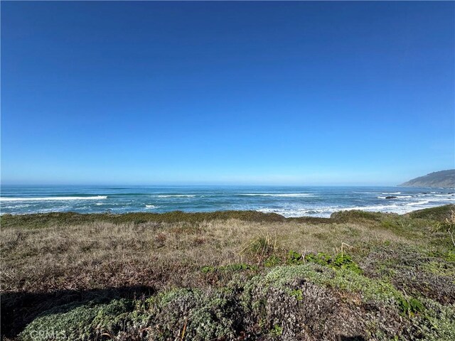 24250 Pacific Heights Dr, Westport, CA 95488 - photo 60
