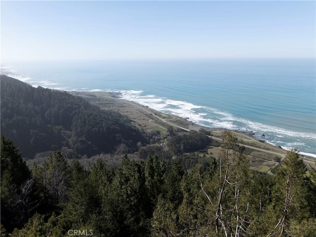 24250 Pacific Heights Dr, Westport, CA 95488 - property view of water