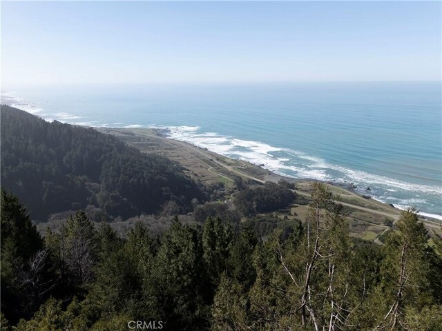 24250 Pacific Heights Dr, Westport, CA 95488 - photo 47