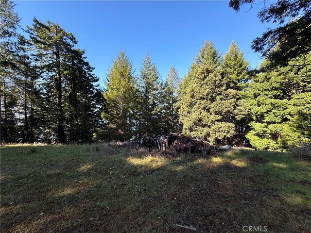 24250 Pacific Heights Dr, Westport, CA 95488 - photo 11