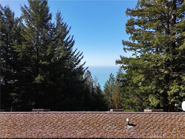 24250 Pacific Heights Dr, Westport, CA 95488 - view of yard with a water view