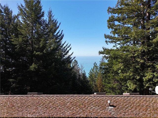24250 Pacific Heights Dr, Westport, CA 95488 - photo 56
