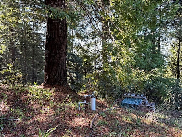 24250 Pacific Heights Dr, Westport, CA 95488 - exterior space featuring a wooded view