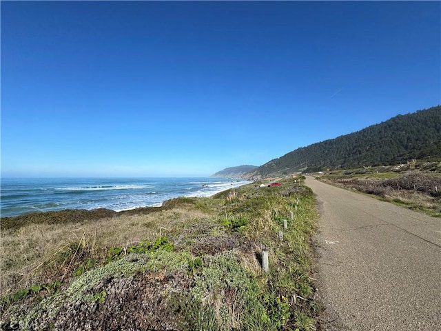 24250 Pacific Heights Dr, Westport, CA 95488 - view of water feature