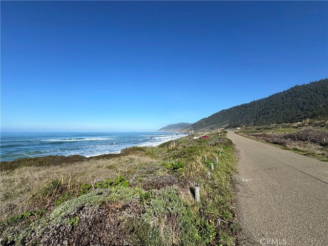 24250 Pacific Heights Dr, Westport, CA 95488 - photo 62