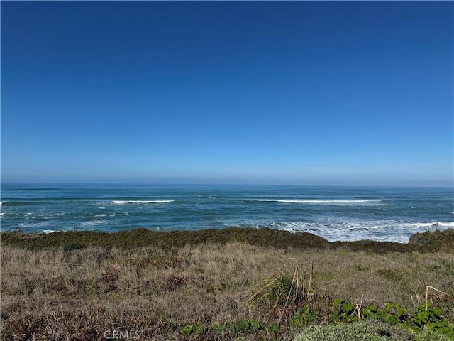 24250 Pacific Heights Dr, Westport, CA 95488 - photo 59