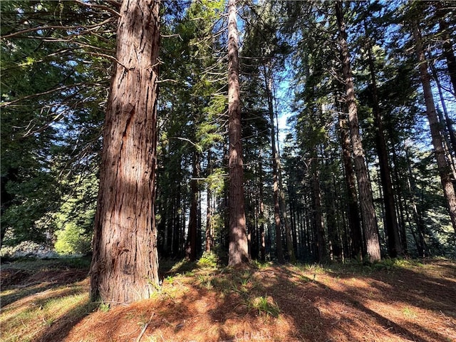24250 Pacific Heights Dr, Westport, CA 95488 - view of nature with a wooded view