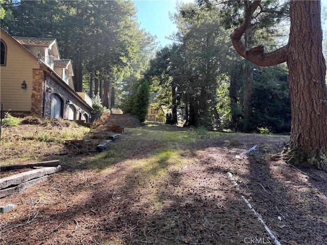 24250 Pacific Heights Dr, Westport, CA 95488 - view of yard