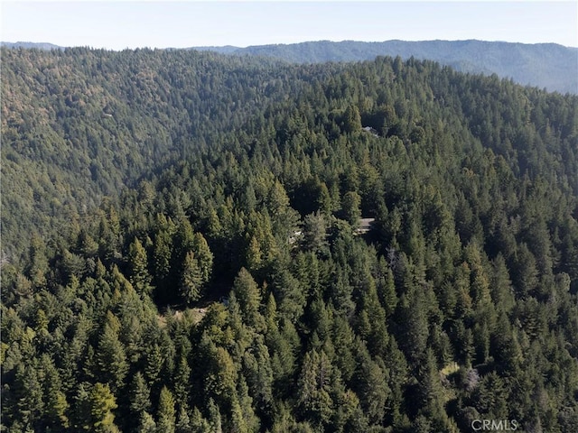 24250 Pacific Heights Dr, Westport, CA 95488 - birds eye view of property featuring a forest view and a mountain view
