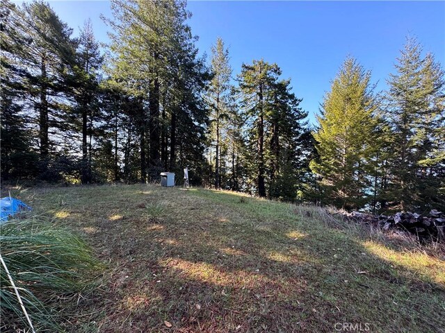 24250 Pacific Heights Dr, Westport, CA 95488 - view of yard