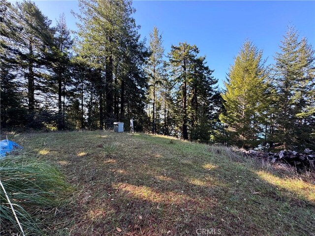 24250 Pacific Heights Dr, Westport, CA 95488 - photo 10