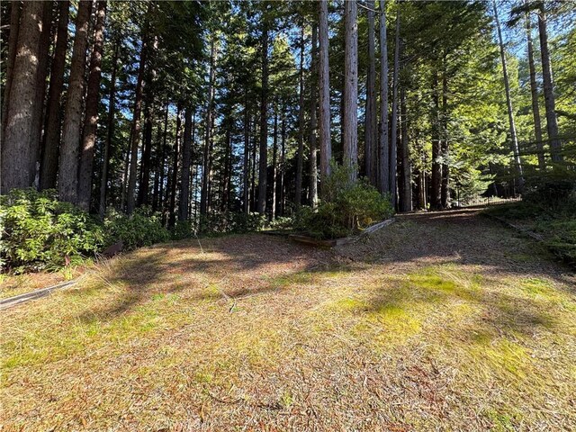 24250 Pacific Heights Dr, Westport, CA 95488 - photo 70