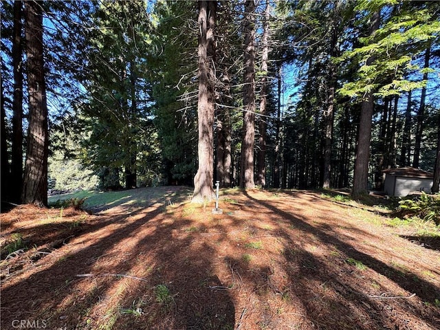 24250 Pacific Heights Dr, Westport, CA 95488 - view of yard