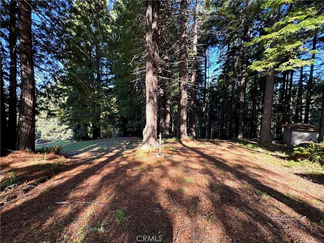 24250 Pacific Heights Dr, Westport, CA 95488 - photo 5
