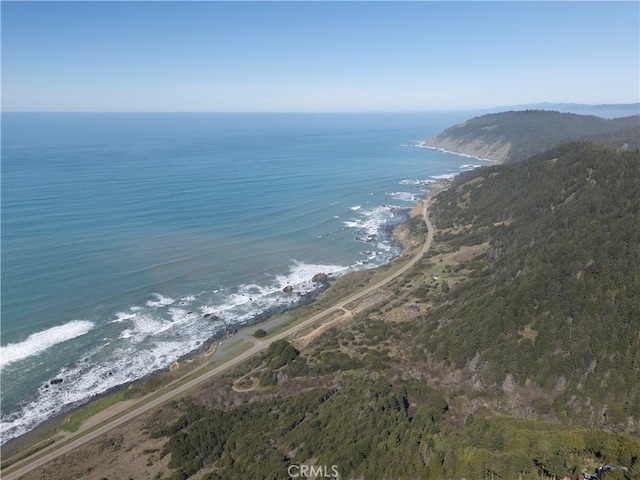24250 Pacific Heights Dr, Westport, CA 95488 - water view with a beach view and a mountain view