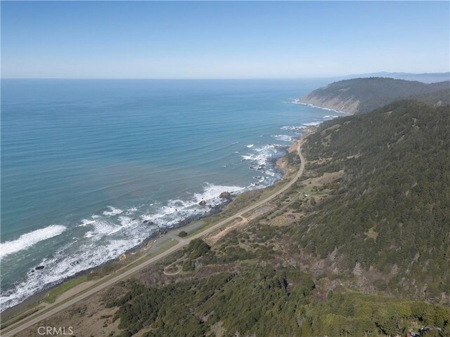 24250 Pacific Heights Dr, Westport, CA 95488 - photo 53