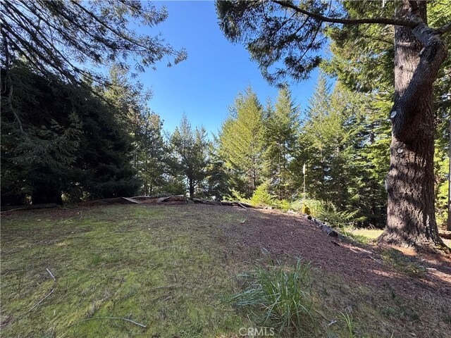 24250 Pacific Heights Dr, Westport, CA 95488 - view of yard with a wooded view