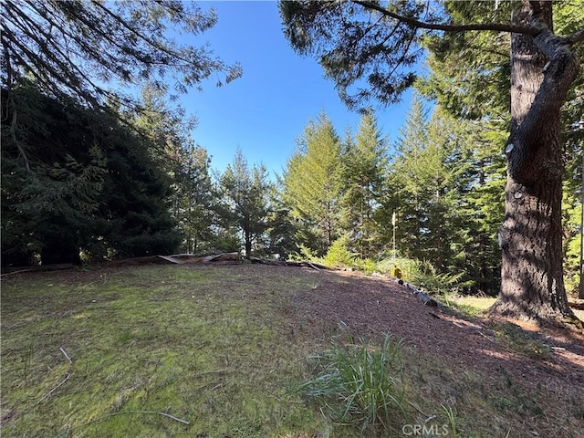 24250 Pacific Heights Dr, Westport, CA 95488 - photo 3