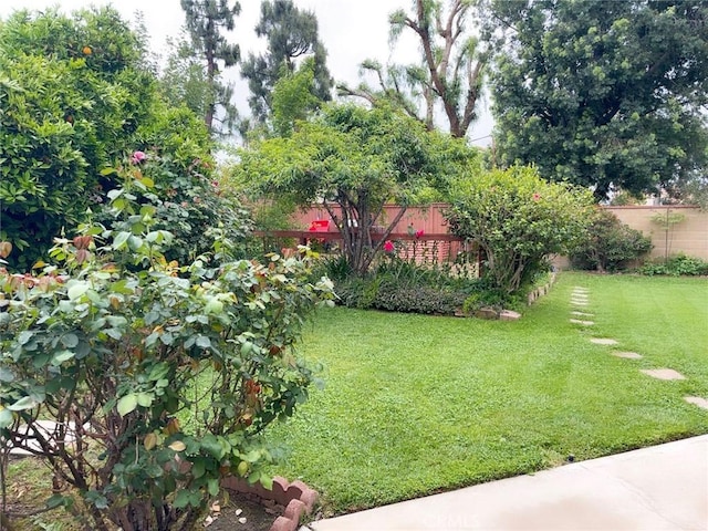 view of yard featuring a fenced backyard