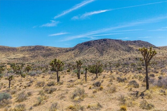 53105 Chia Trl, Pioneertown, CA 92268 - mountain view with a desert view