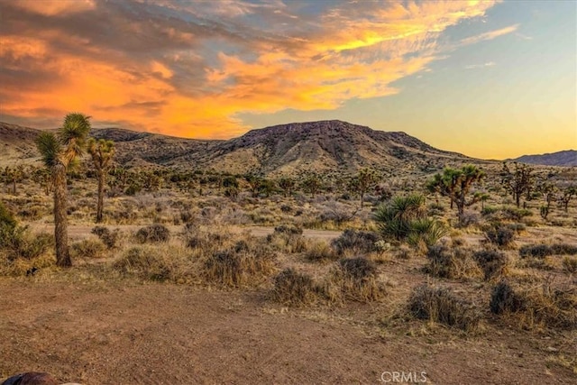 53105 Chia Trl, Pioneertown, CA 92268 - mountain view