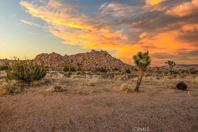 53105 Chia Trl, Pioneertown, CA 92268 - mountain view
