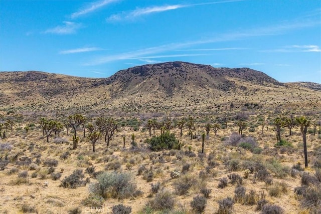 53105 Chia Trl, Pioneertown, CA 92268 - property view of mountains with view of desert