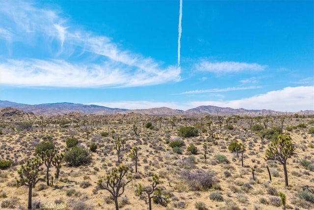 53105 Chia Trl, Pioneertown, CA 92268 - property view of mountains featuring a desert view