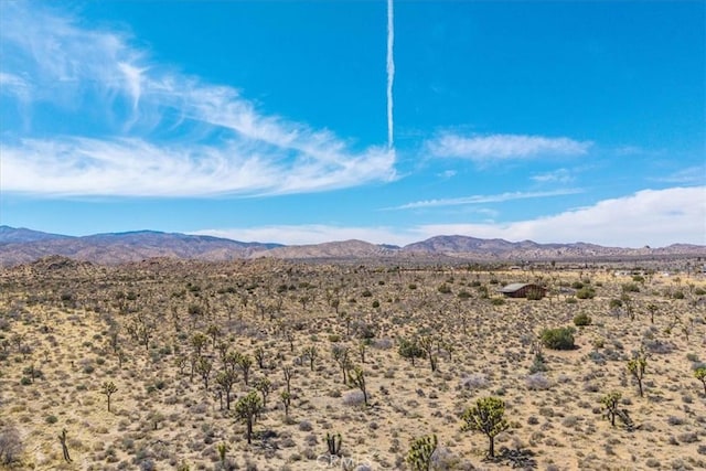 53105 Chia Trl, Pioneertown, CA 92268 - view of mountain feature featuring a rural view and a desert view