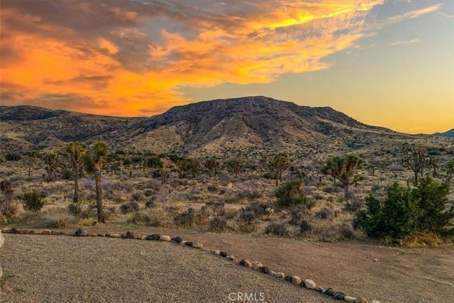 53105 Chia Trl, Pioneertown, CA 92268 - mountain view