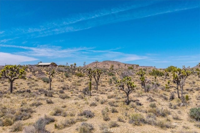 53105 Chia Trl, Pioneertown, CA 92268 - property view of mountains with a desert view