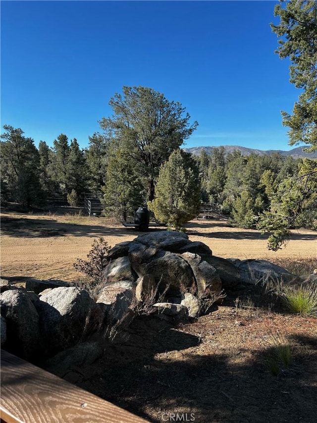 view of landscape with a wooded view