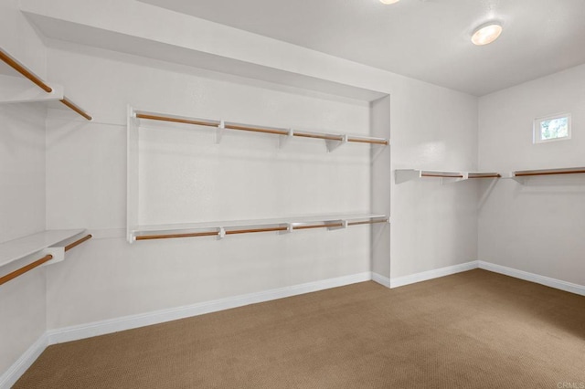 4033 Keri Way, Fallbrook, CA 92028 - walk in closet with carpet flooring