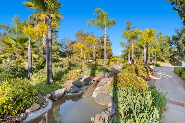 4033 Keri Way, Fallbrook, CA 92028 - view of home's community with a small pond