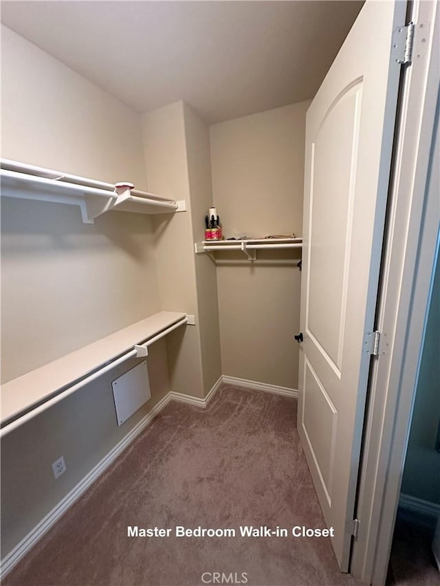 walk in closet with carpet