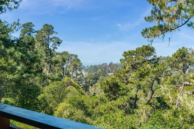 view of nature with a wooded view