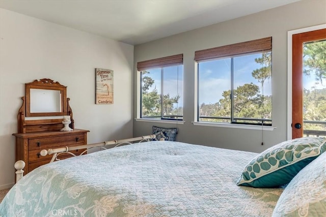 bedroom with access to exterior and multiple windows