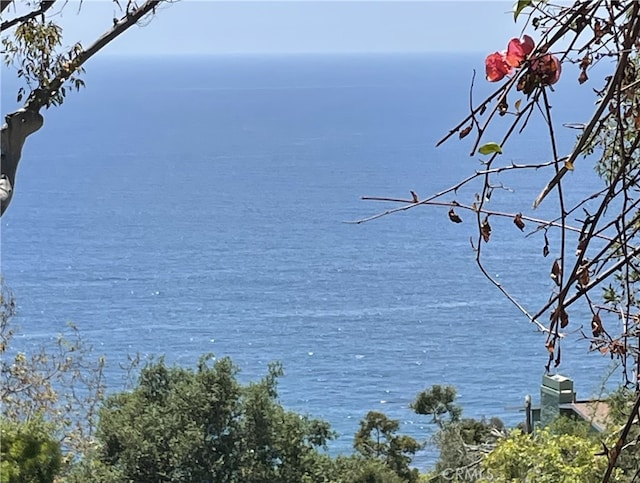 410 Alta Vista Ave, Laguna Beach, CA 92651 - photo 3