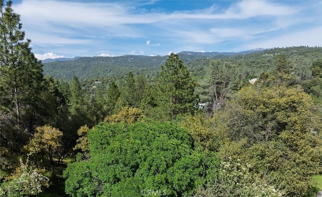 50566 Critter Creek Ln, Oakhurst, CA 93644 - mountain view featuring a forest