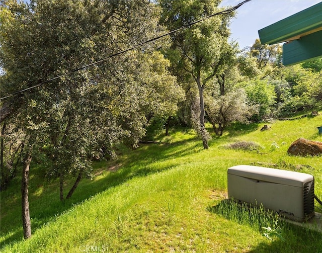 50566 Critter Creek Ln, Oakhurst, CA 93644 - view of yard
