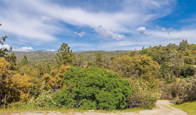 50566 Critter Creek Ln, Oakhurst, CA 93644 - view of wooded area featuring a mountain view