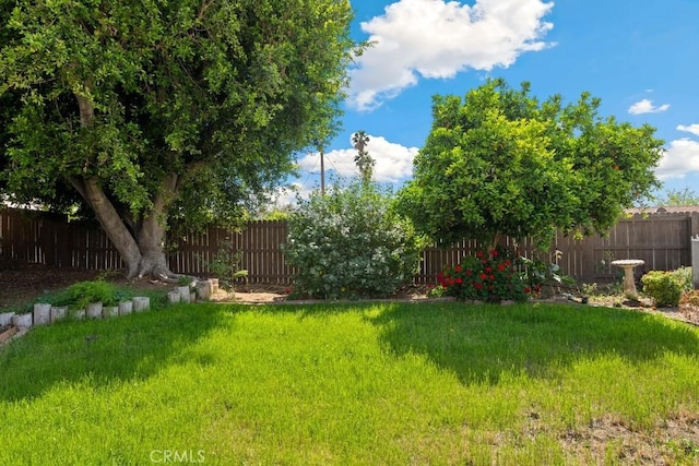view of yard with a fenced backyard
