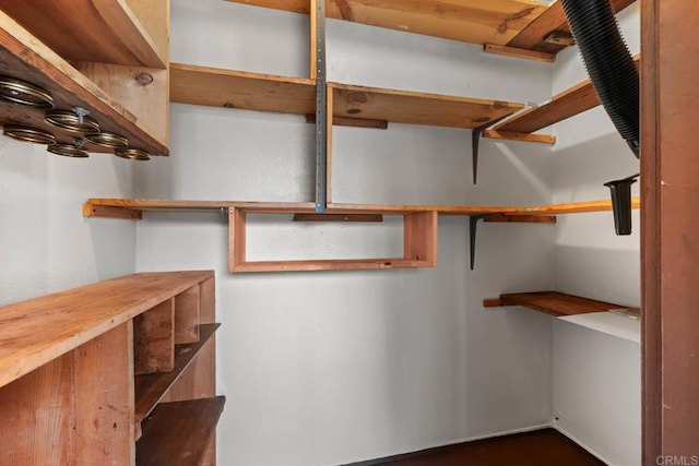 6560 College Grove Dr Unit 79, San Diego, CA 92115 - view of walk in closet